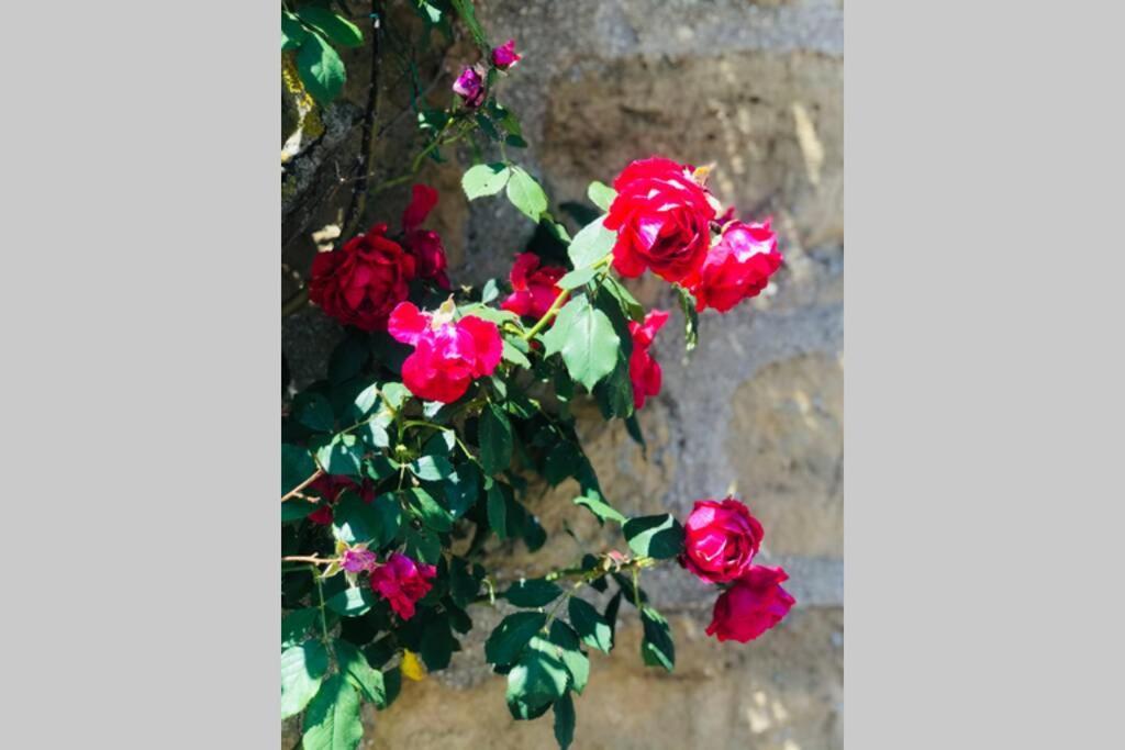 La Campagne Proche De Charleville-Mezieres This Exterior photo